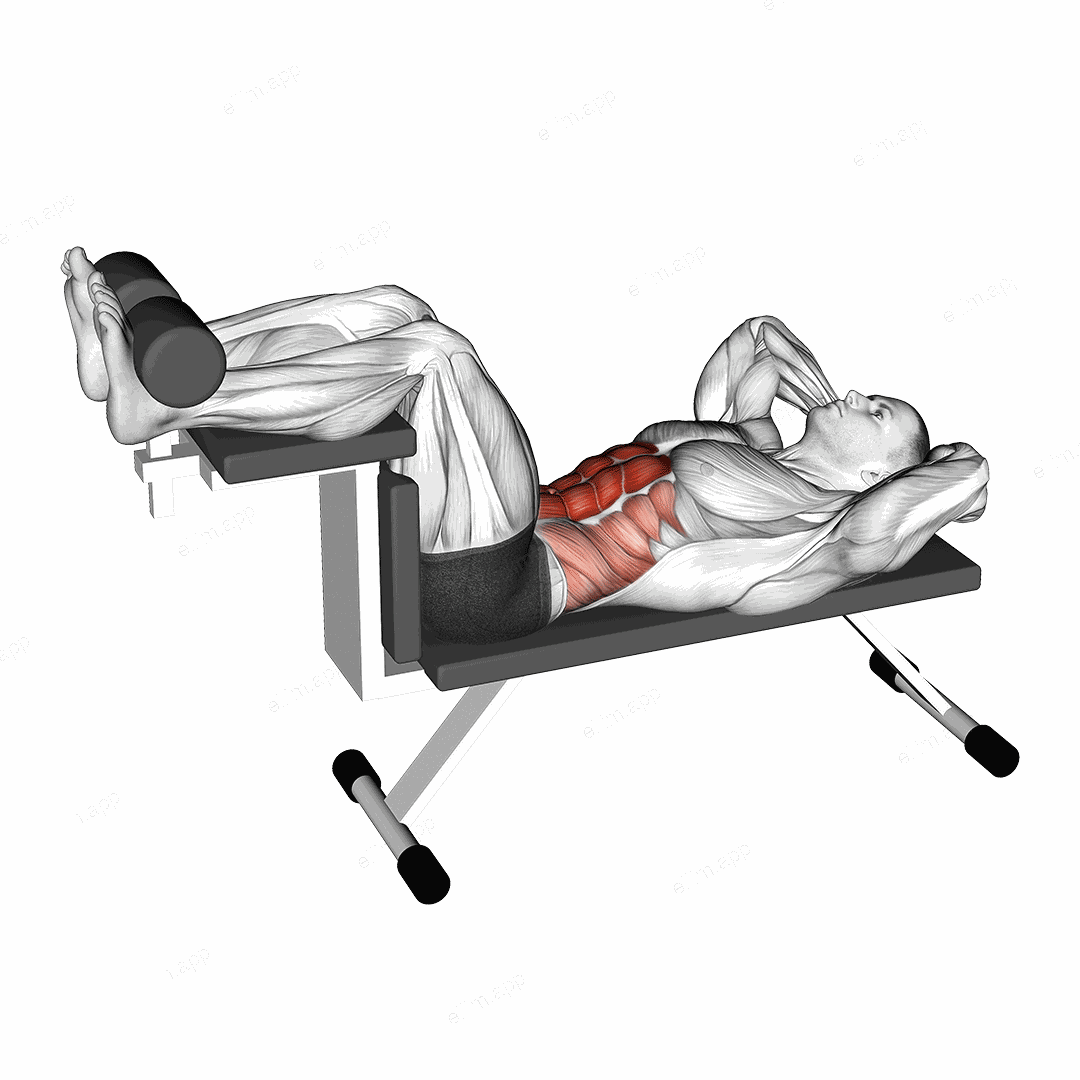 Crunch (on bench) exercise targeting Waist and Rectus Abdominis