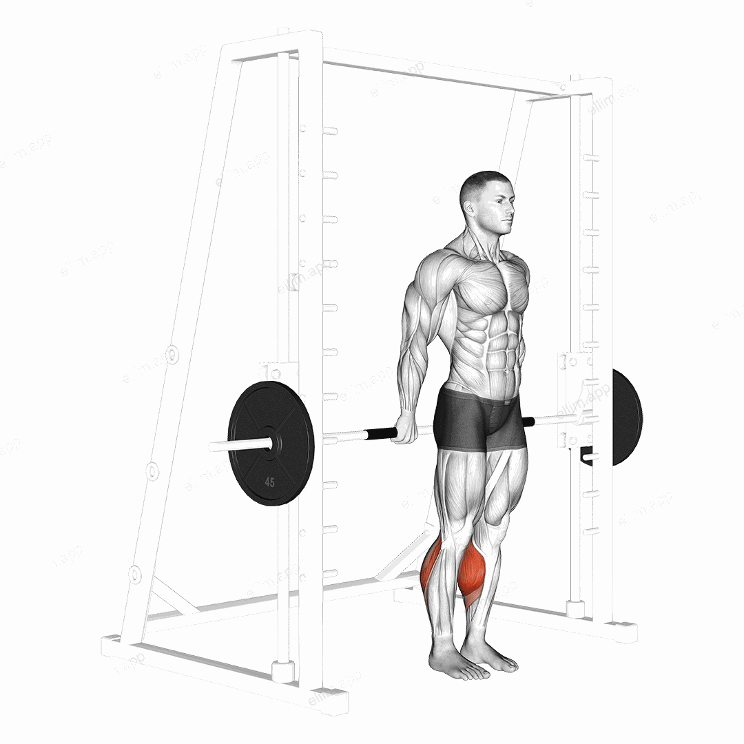 Smith Reverse Calf Raises exercise targeting Calves and Gastrocnemius