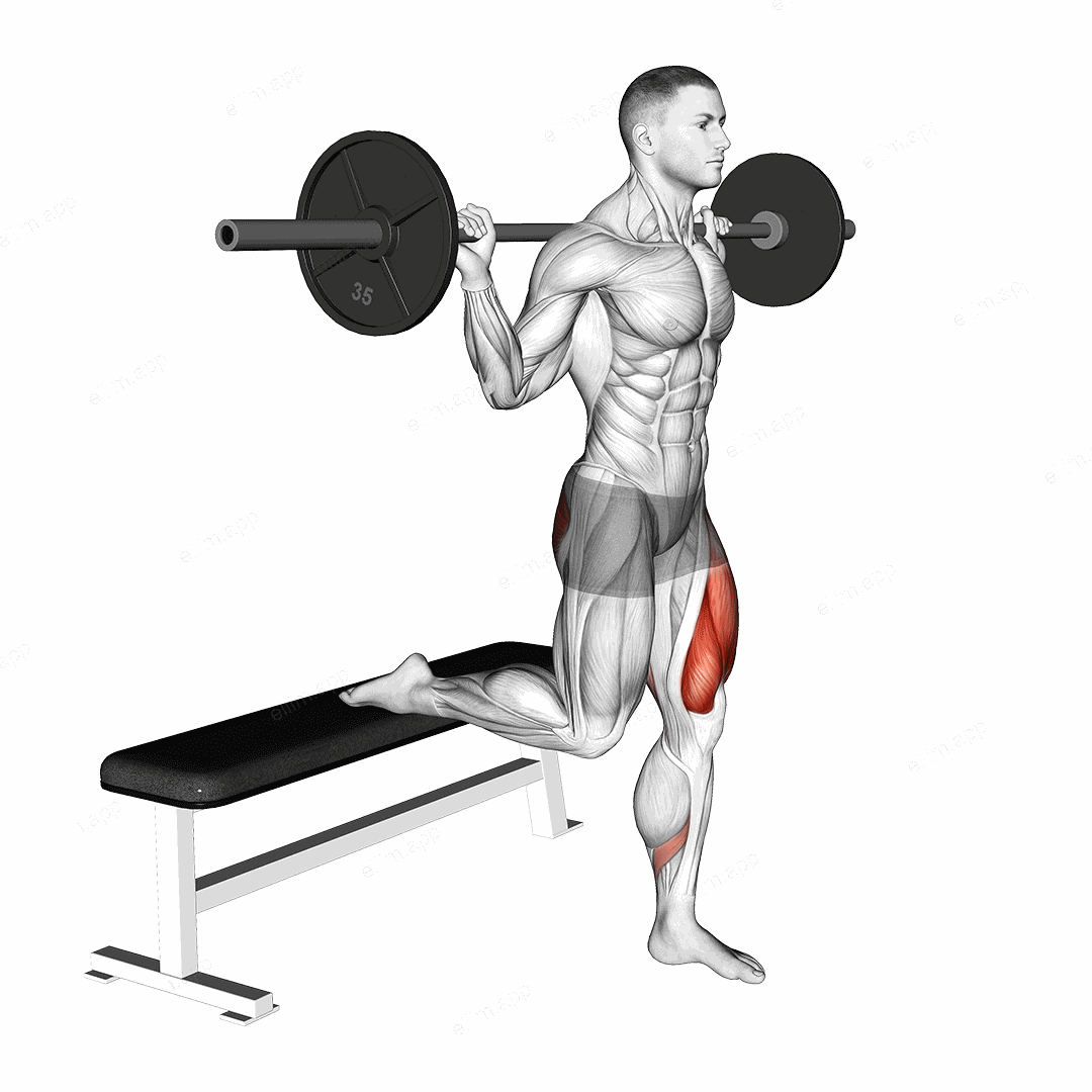 Barbell Single Leg Split Squat exercise targeting Hips and Gluteus Maximus