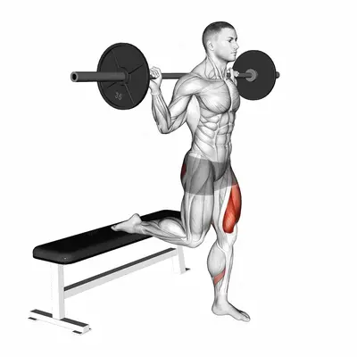 Barbell Single Leg Split Squat exercise targeting Hips and Gluteus Maximus
