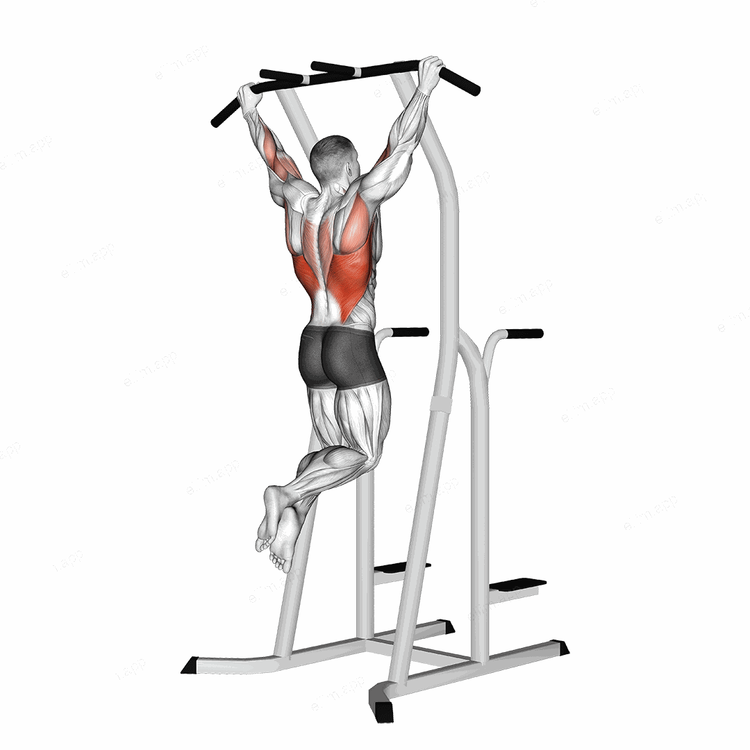 Wide Grip Pull Up on Dip Cage exercise targeting Back