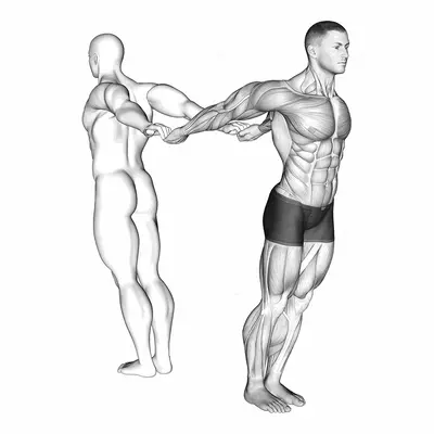 Assisted Pulling Backs Chest Stretch exercise targeting Chest