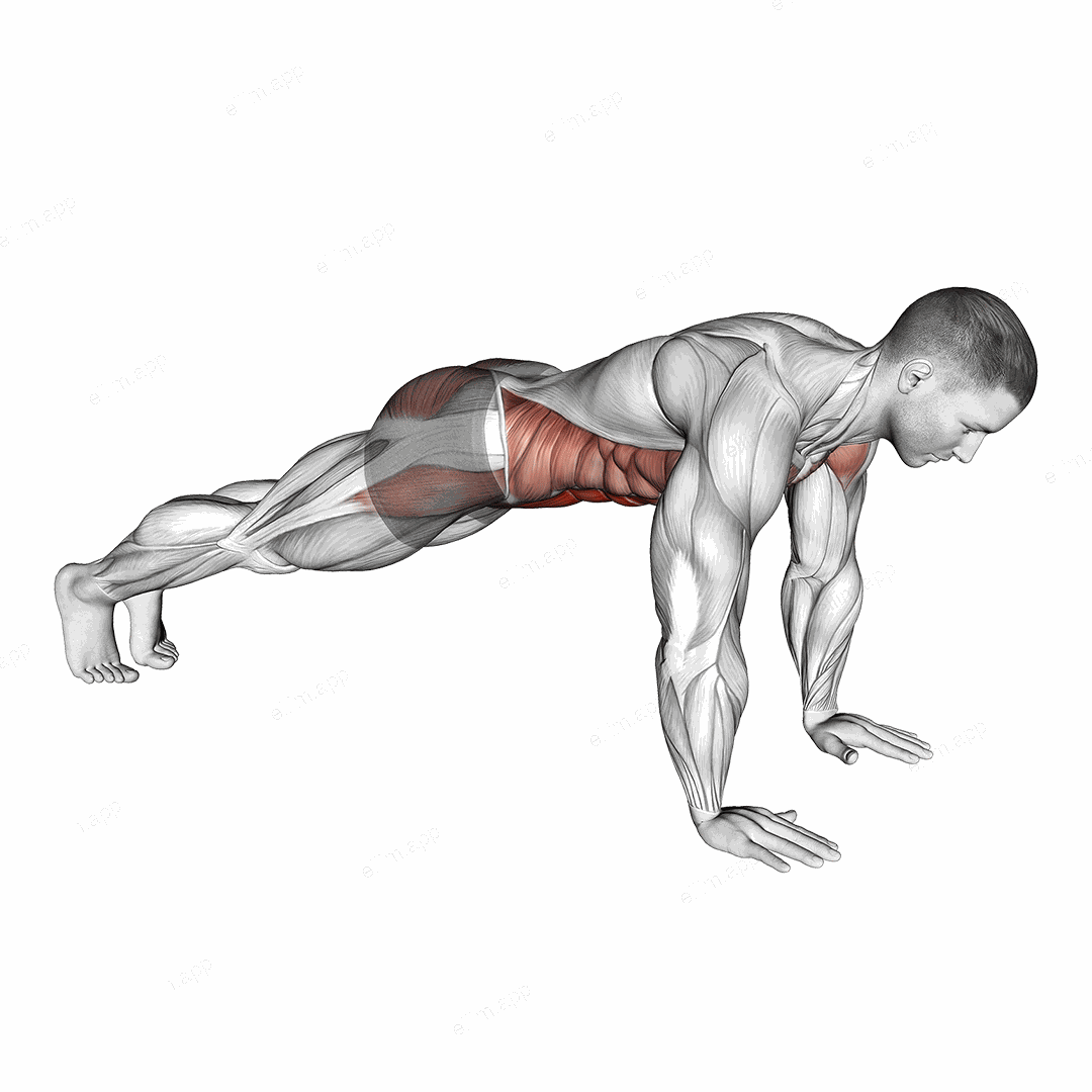 Plank on Hands exercise targeting Waist and Rectus Abdominis