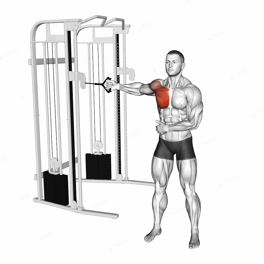 Cable Standing Single Arm Fly exercise targeting Chest