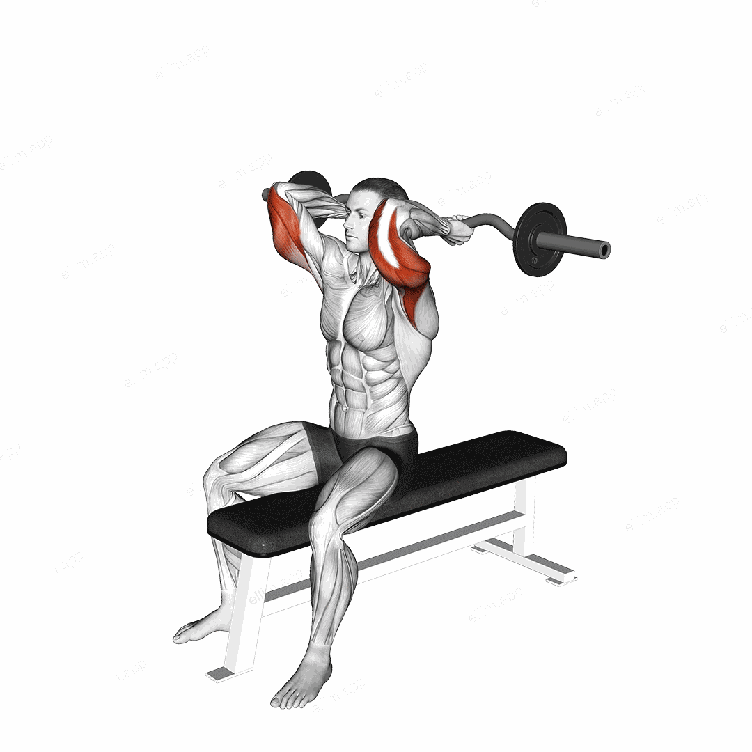 EZ Barbell Seated Triceps Extension exercise targeting Upper Arms and Triceps Brachii