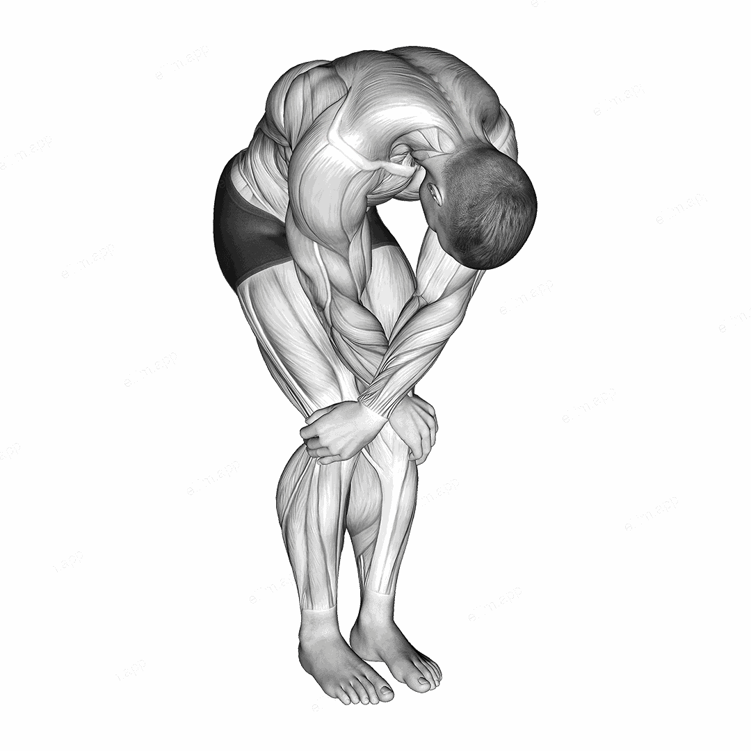 Cross over shoulder stretch exercise targeting Back