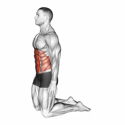 Backward Abdominal Stretch exercise targeting Waist and Rectus Abdominis