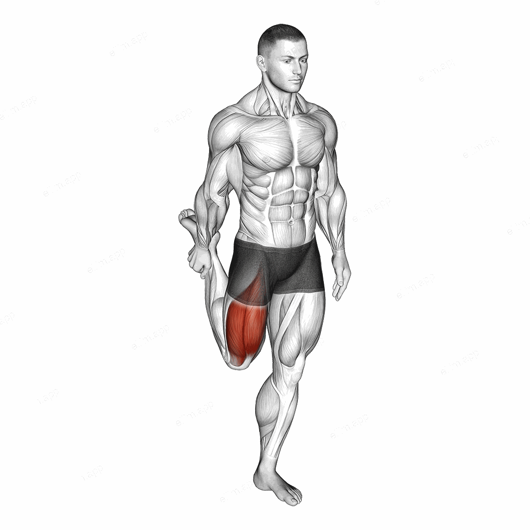 Standing Balance Quadriceps Stretch exercise targeting Thighs and Quadriceps