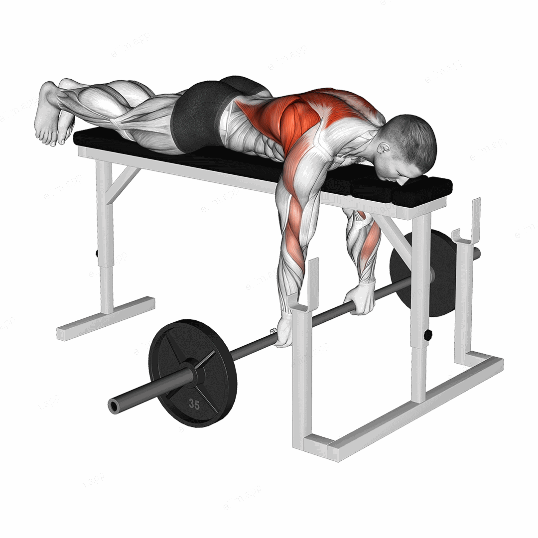 Barbell Lying Close Grip Overhand Row on Rack exercise targeting Back