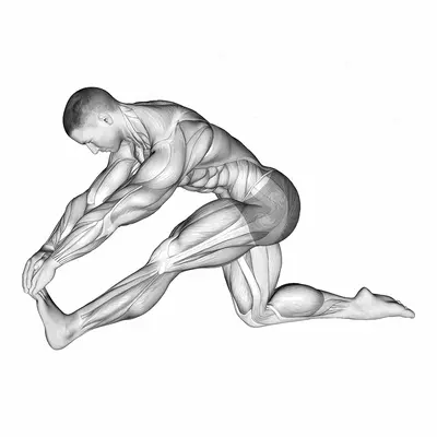 Kneeling Toe Up Hamstring Stretch exercise targeting Thighs