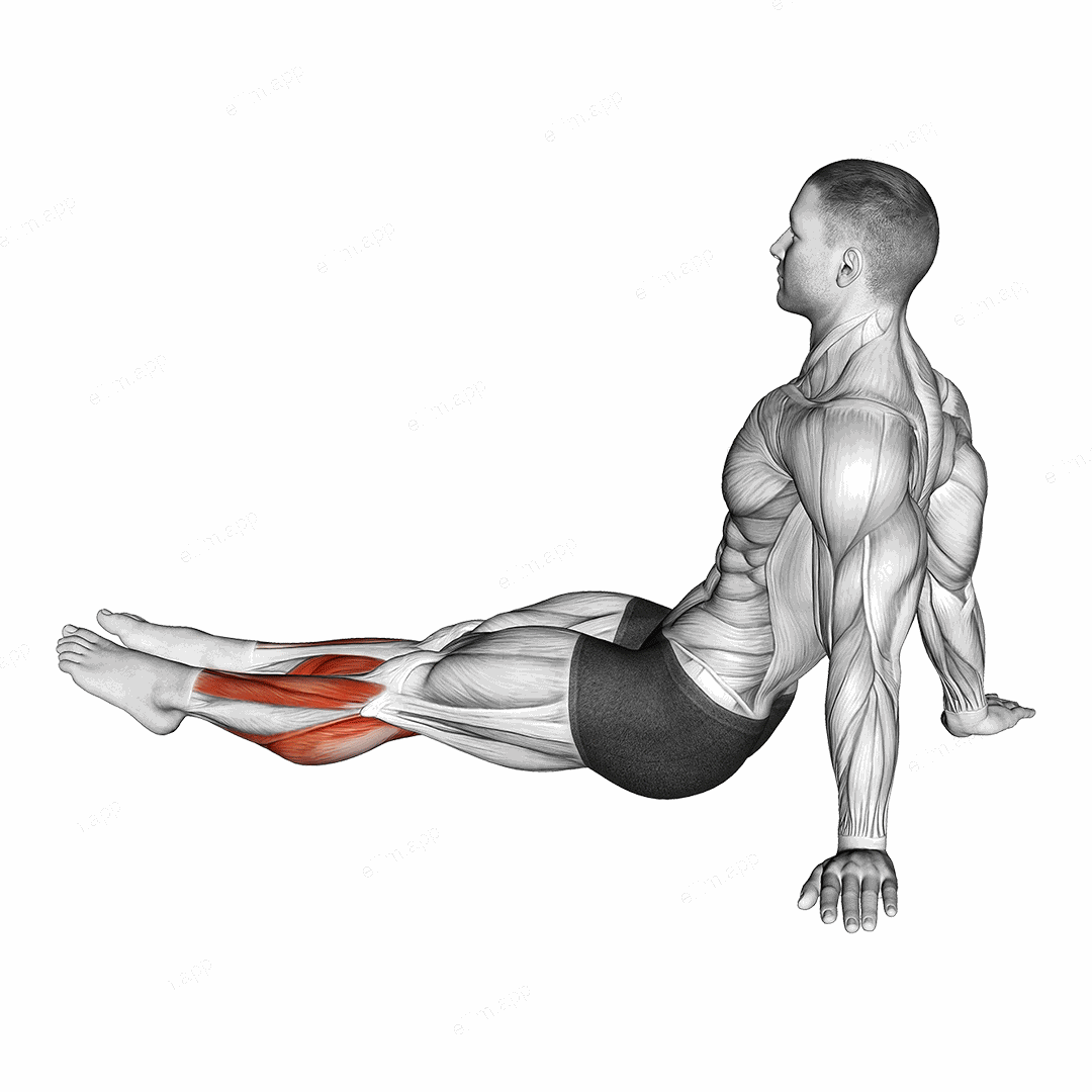 Feet and Ankles Stretch exercise targeting Calves and Gastrocnemius