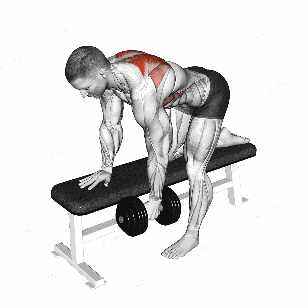 Dumbbell Bent-Over Scapula Row exercise targeting Back and Trapezius Lower Fibers