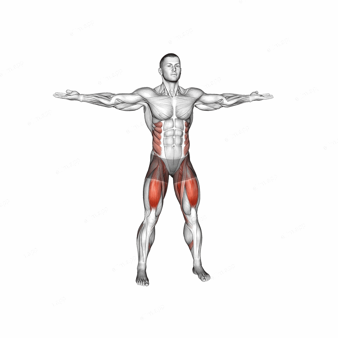 Hip Swirls exercise targeting Hips and Adductor Brevis