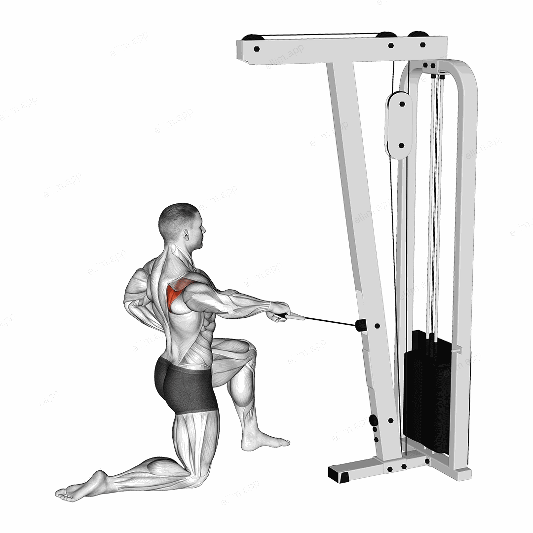 Cable Half Kneeling External Rotation exercise targeting Back