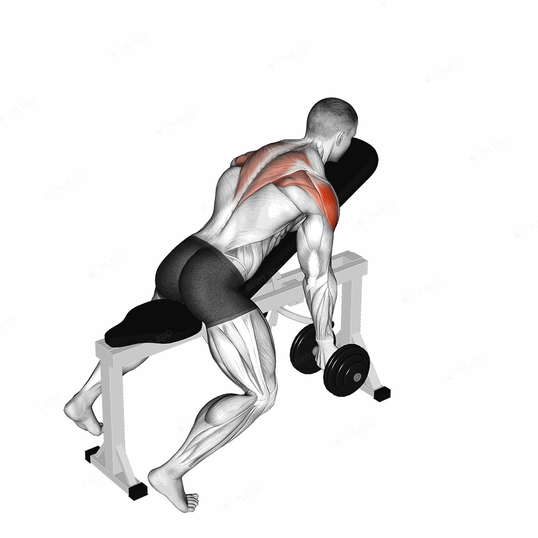 Dumbbell Incline T-Raise exercise targeting Shoulders and Deltoid Posterior