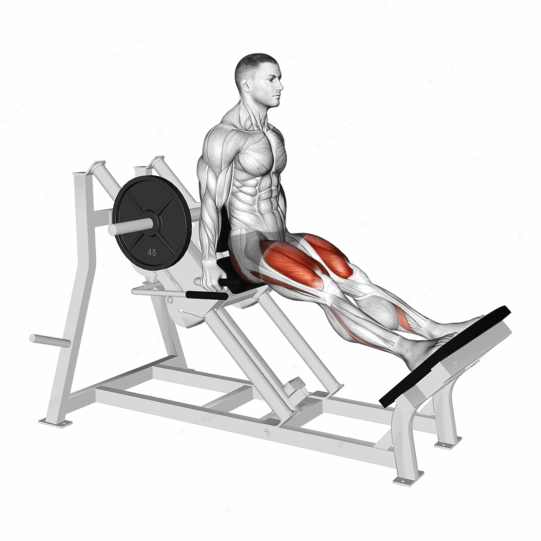 Lever Linear Hack Squat exercise targeting Thighs and Quadriceps