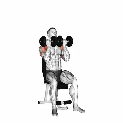 Dumbbell Seated Close Grip Press exercise targeting Shoulders and Deltoid Anterior