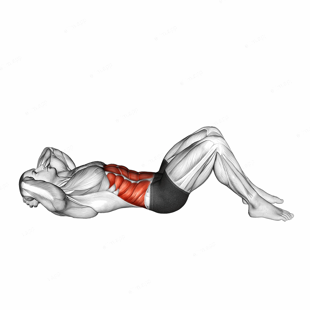 Twisting Crunch exercise targeting Waist and Obliques