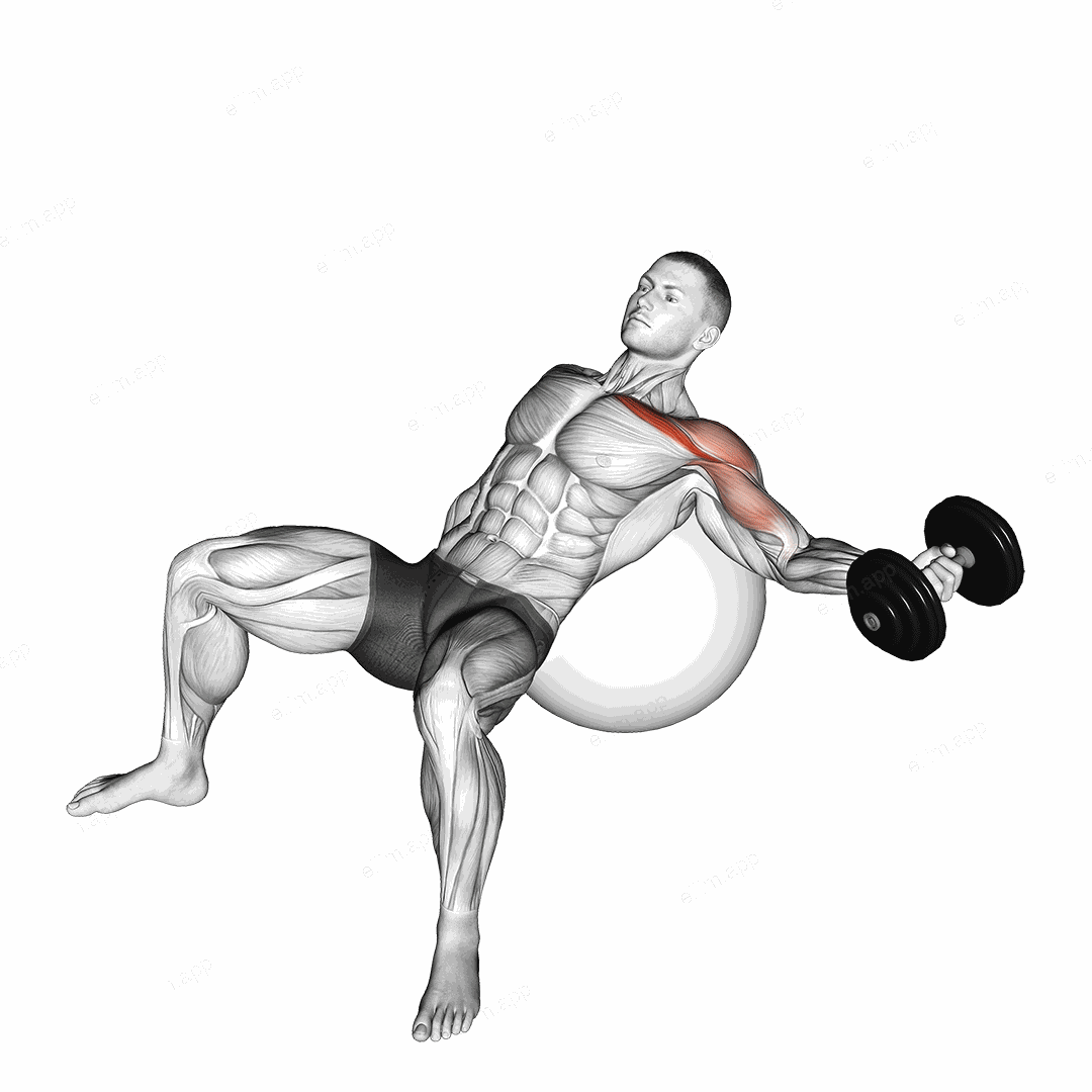 Dumbbell Incline One Arm Fly on Exercise Ball exercise targeting Chest and Pectoralis Major Clavicular Head
