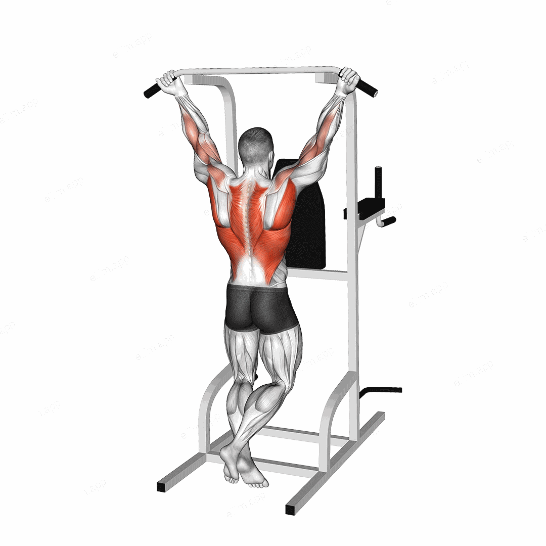 Wide Chin-up exercise targeting Back