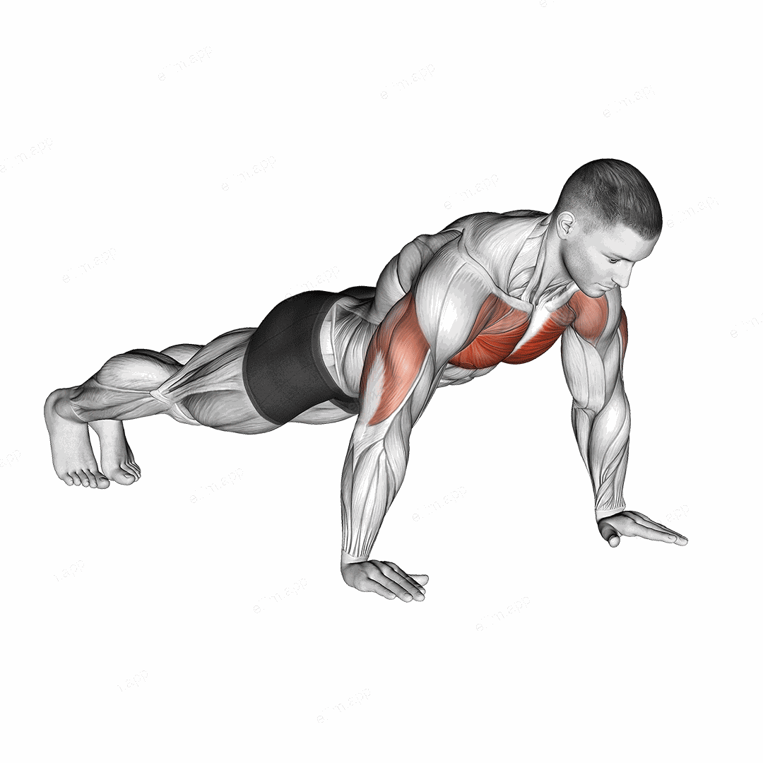 Push Up exercise targeting Chest and Pectoralis Major Sternal Head