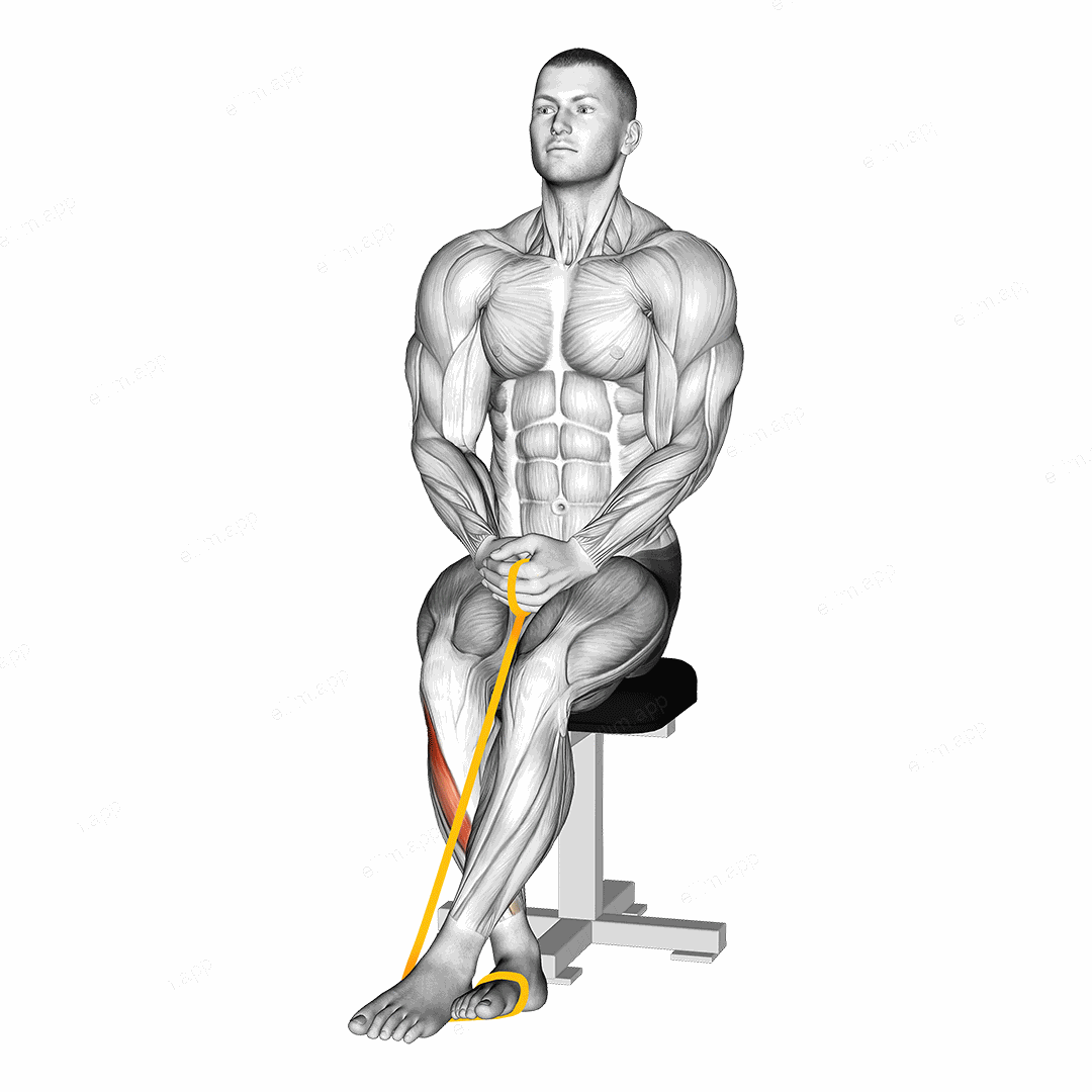 Resistance Band Foot Inversion exercise targeting Calves