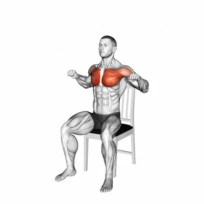 Seated Incline Chest Press on a Chair exercise targeting Chest