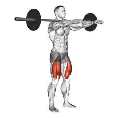 Frankenstein squat exercise targeting Thighs and Gluteus Maximus