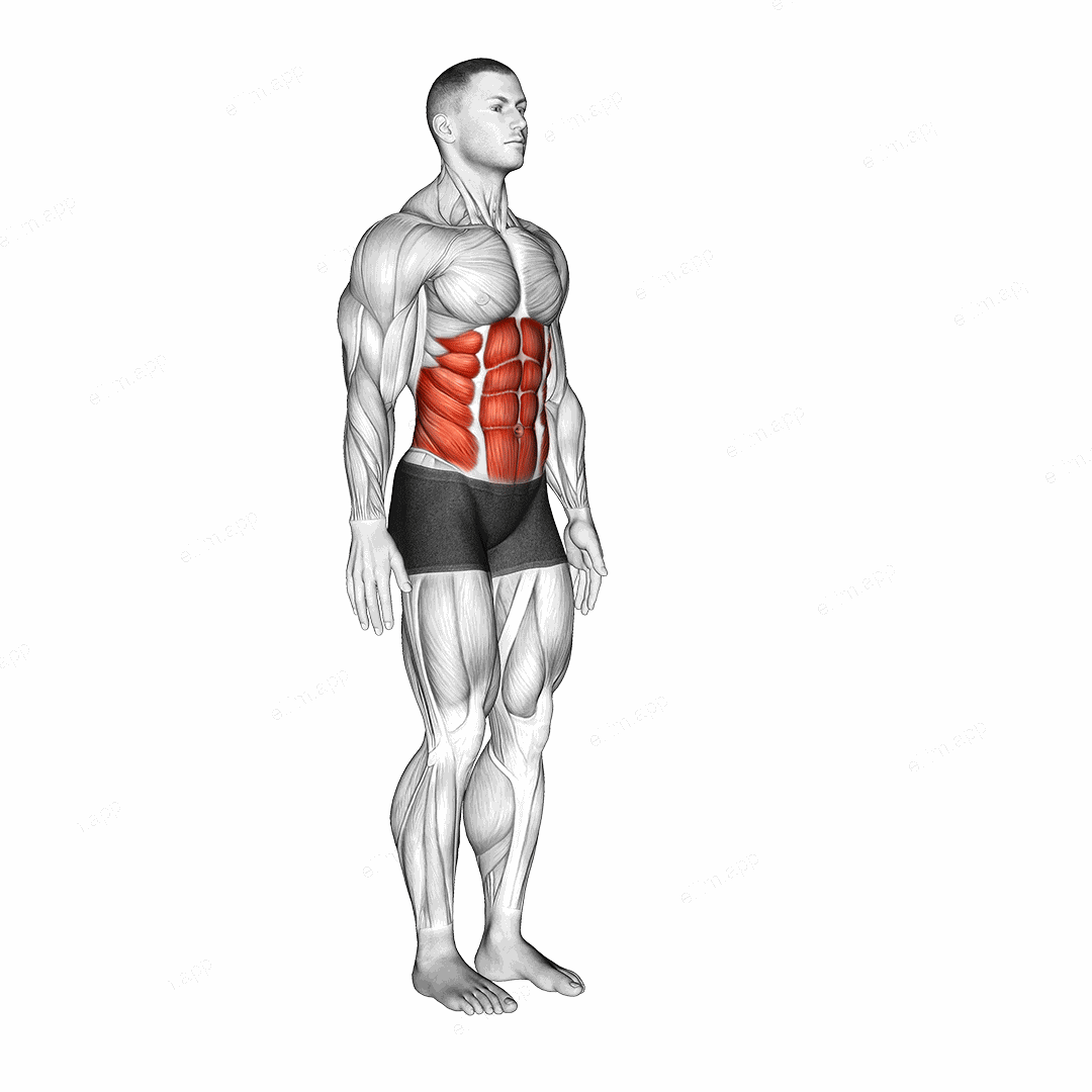 Spine (Lumbar) - Flexion exercise targeting Hips