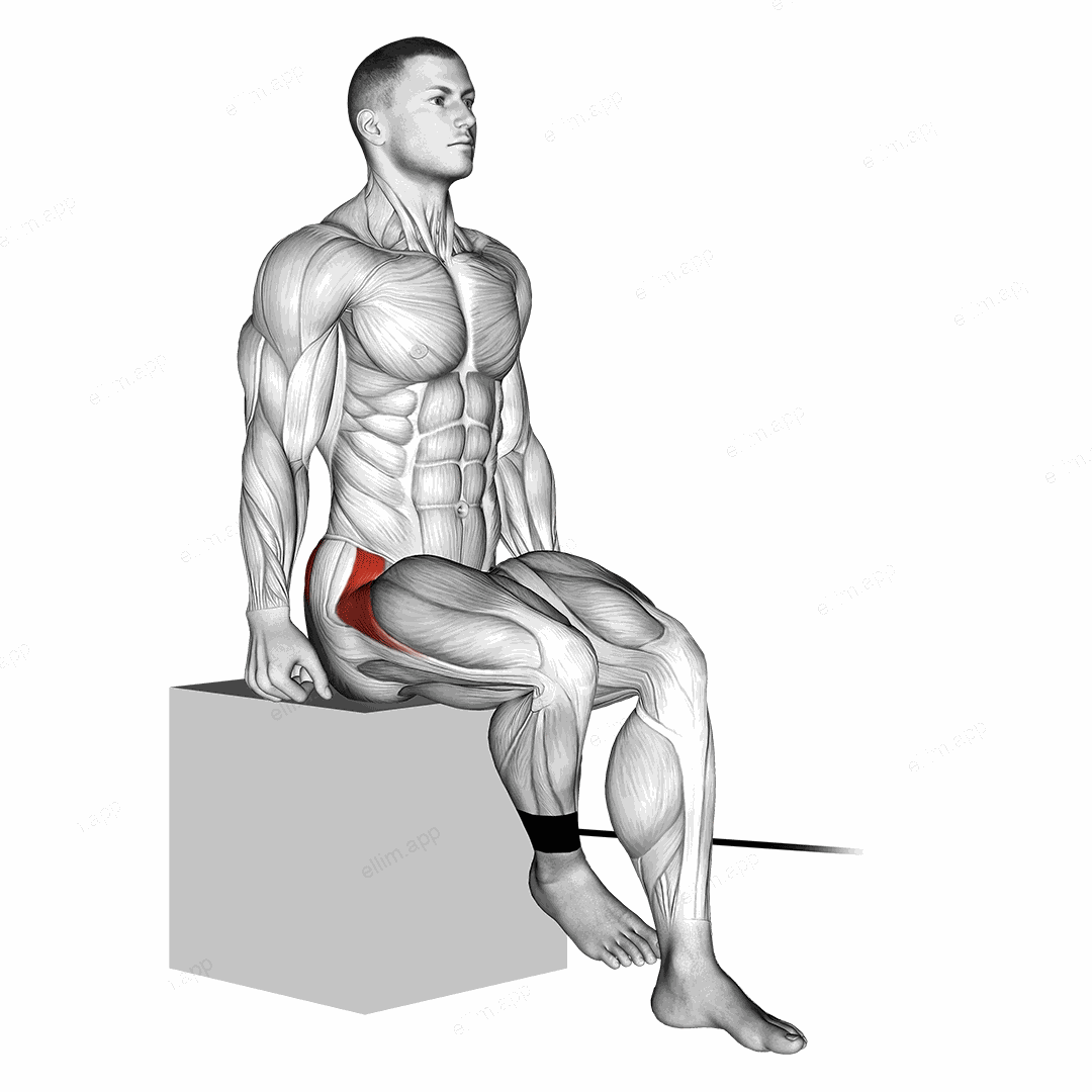 Band Seated Hip Internal Rotation exercise targeting Hips and Gluteus Medius