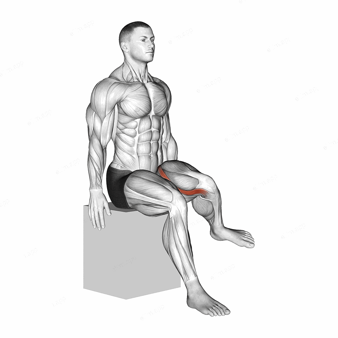 Hip - Lateral Rotation (External Rotation) exercise targeting Hips