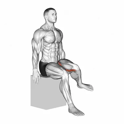 Hip - Lateral Rotation (External Rotation) exercise targeting Hips