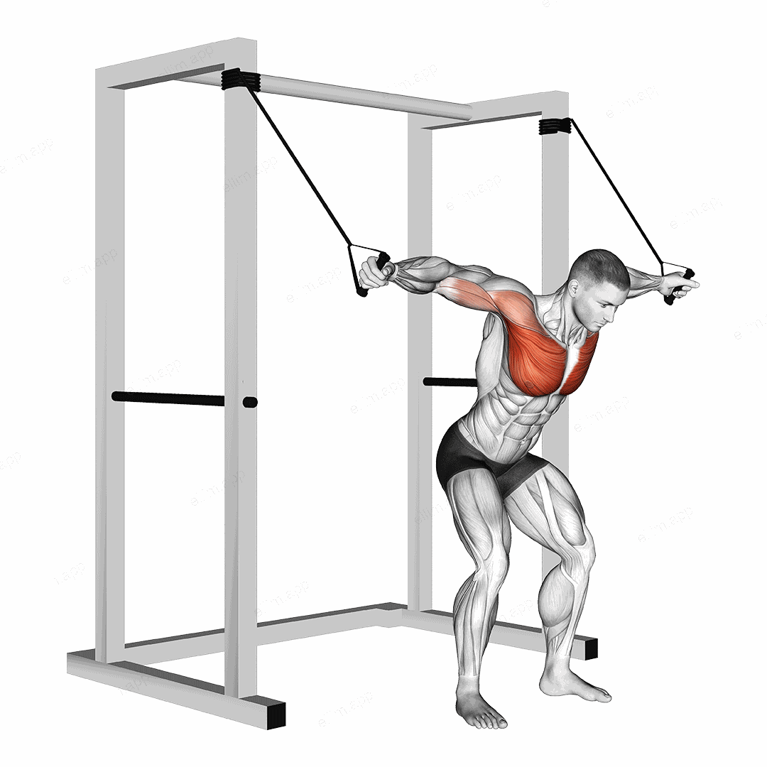 Band high fly exercise targeting Chest and Pectoralis Major Clavicular Head