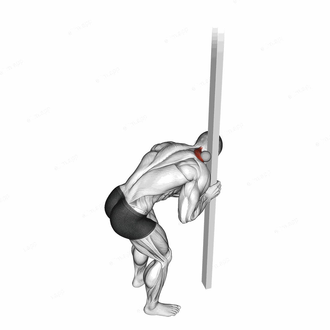 Roll Ball Upper Trapezius Release exercise targeting Back and Trapezius Upper Fibers