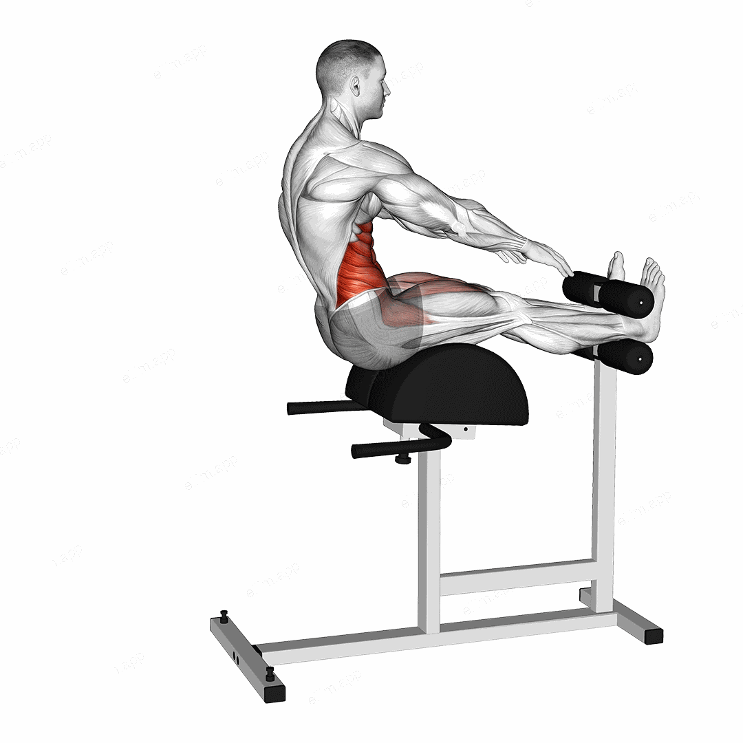 Decline Sit-up and Russian Twist exercise targeting Waist