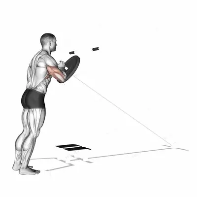 Lever One Arm Shoulder Press (plate loaded) exercise targeting Shoulders and Deltoid Anterior
