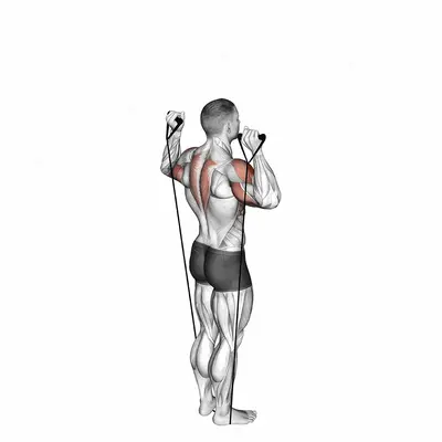 Band Behind Neck Shoulder Press exercise targeting Shoulders and Deltoid Anterior