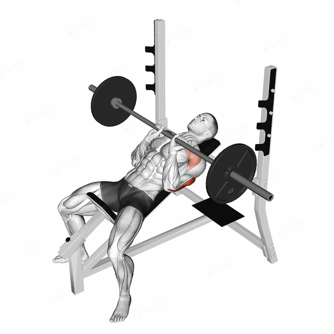 Barbell Incline Close Grip Bench Press exercise targeting Upper Arms and Triceps Brachii