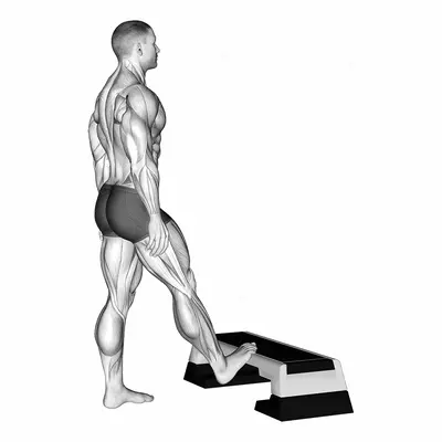 Standing Toe Up Calf Stretch exercise targeting Calves