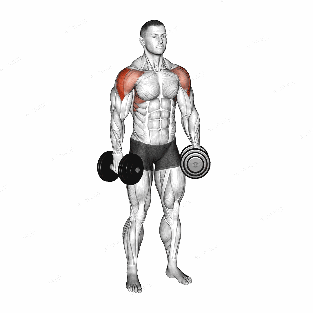 Dumbbell Partials Lateral Raise exercise targeting Shoulders