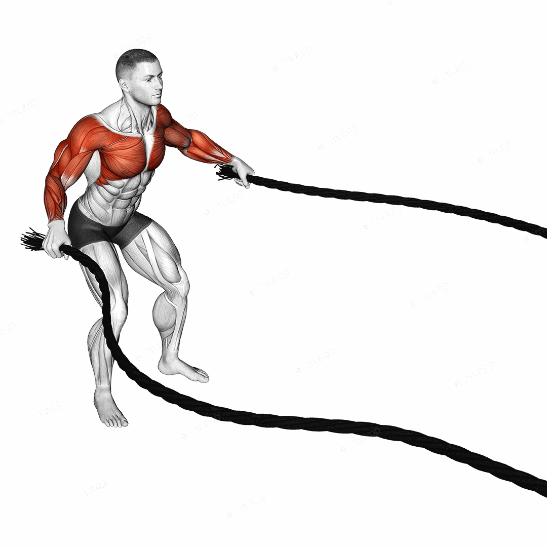 Battling Ropes Fly exercise targeting Chest and Shoulders