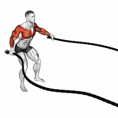 Battling Ropes Fly exercise targeting Chest and Shoulders
