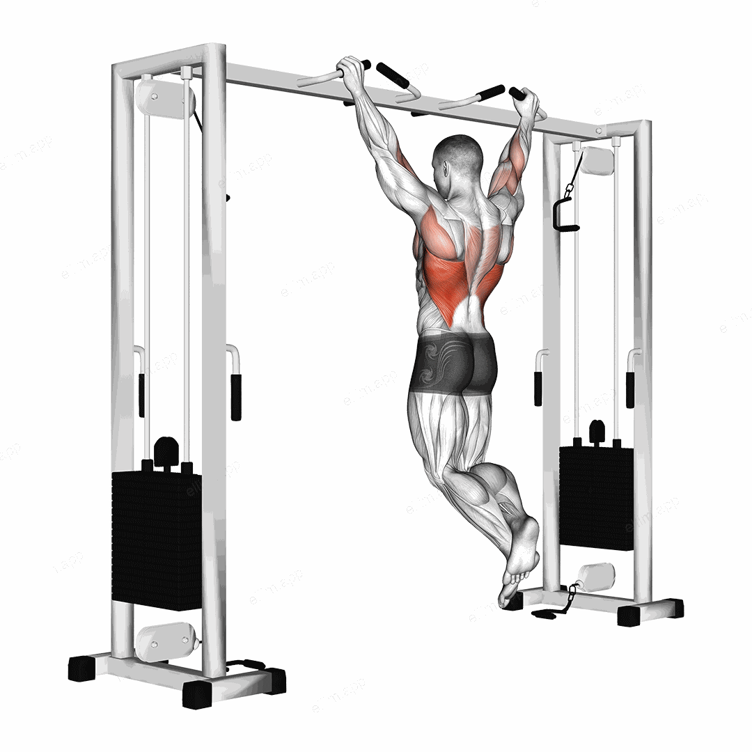 Pull up (neutral grip) exercise targeting Back and Latissimus Dorsi