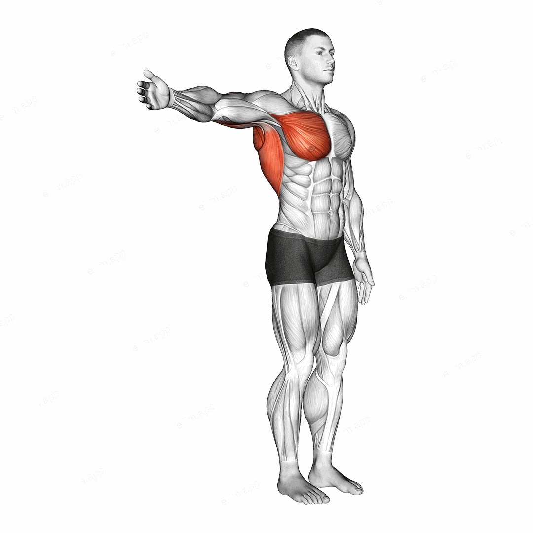 Shoulder - Adduction exercise targeting Shoulders