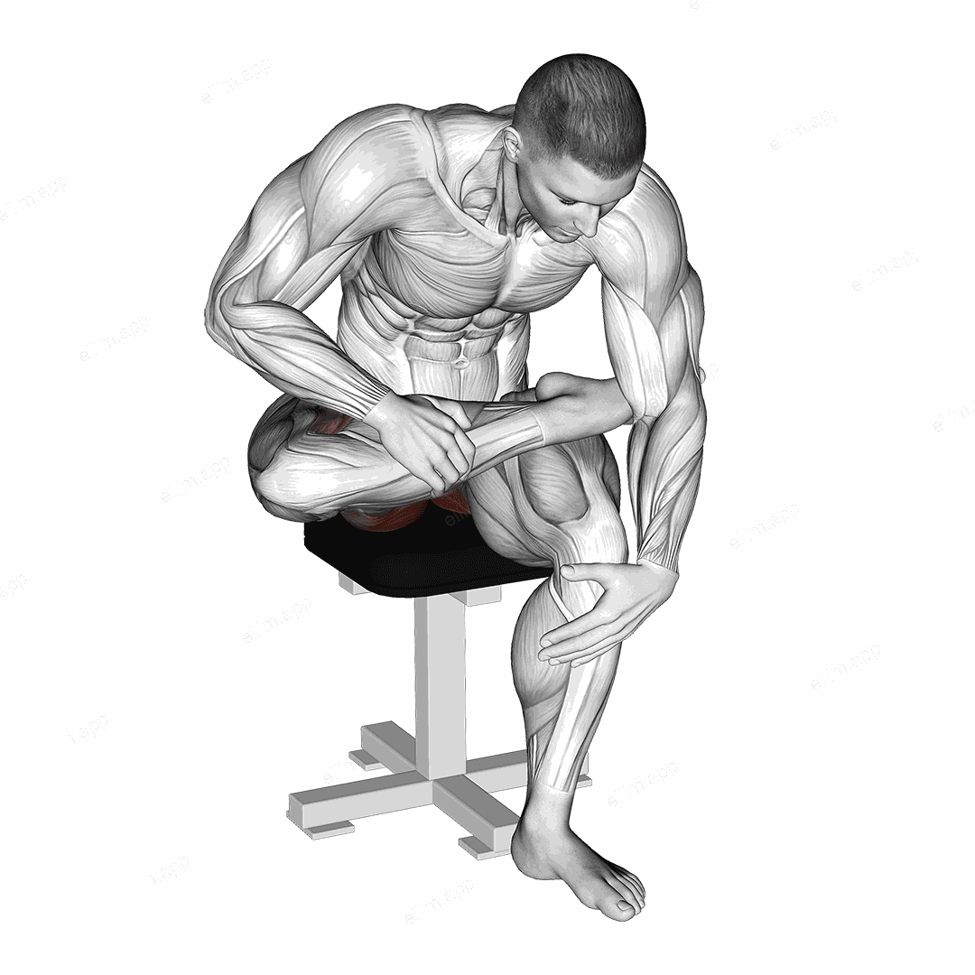 Seated Piriformis Stretch exercise targeting Hips and Gluteus Maximus