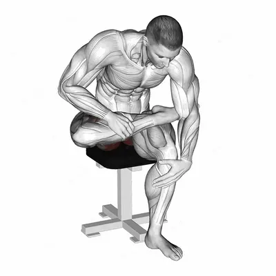 Seated Piriformis Stretch exercise targeting Hips and Gluteus Maximus