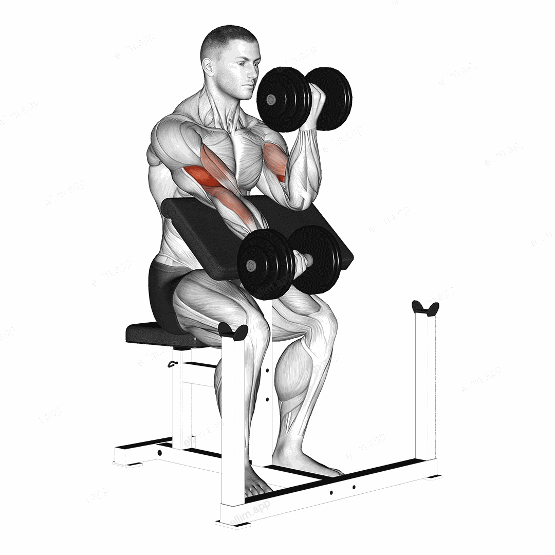Dumbbell Alternate Preacher Curl exercise targeting Upper Arms