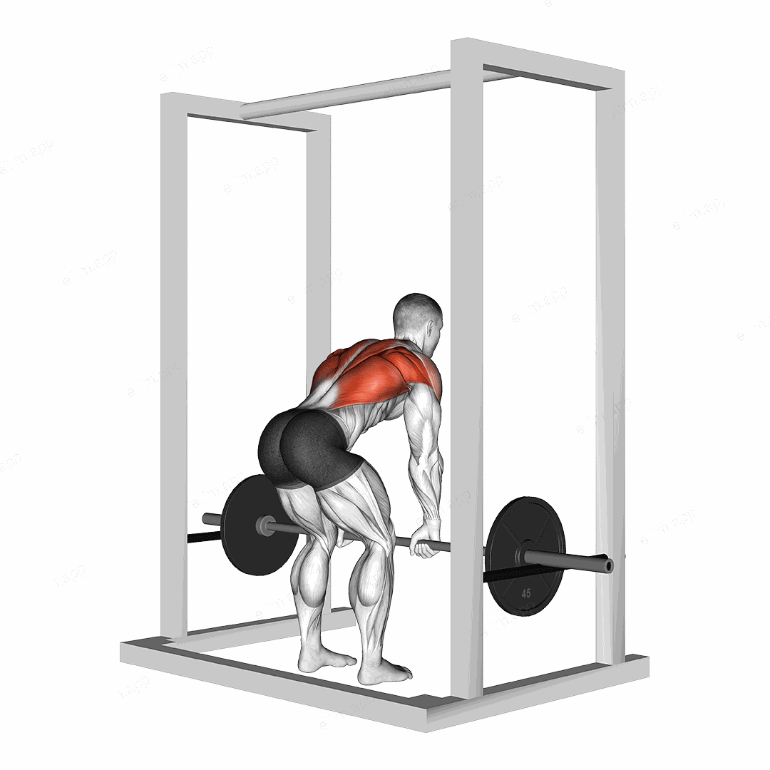 Barbell Deadstop Row with Rack exercise targeting Back