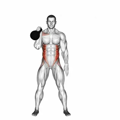 Kettlebell Bent Press exercise targeting Waist and Deltoid Anterior