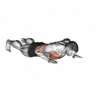 Isometric Wipers exercise targeting Chest and Pectoralis Major Sternal Head